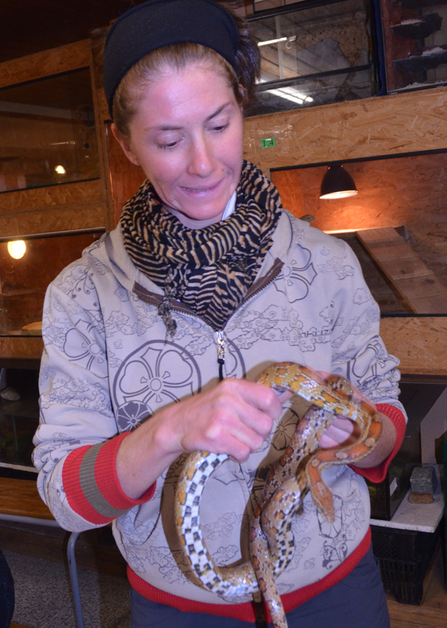 files/content/rdw/Logbook Photos/13-11-17Kornnatter2.jpg files/content/rdw/Logbook Photos/13-11-17Kornnatter2.jpg