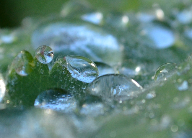 files/content/rdw/Logbook Photos/13-11-17Waterdrops.jpg files/content/rdw/Logbook Photos/13-11-17Waterdrops.jpg