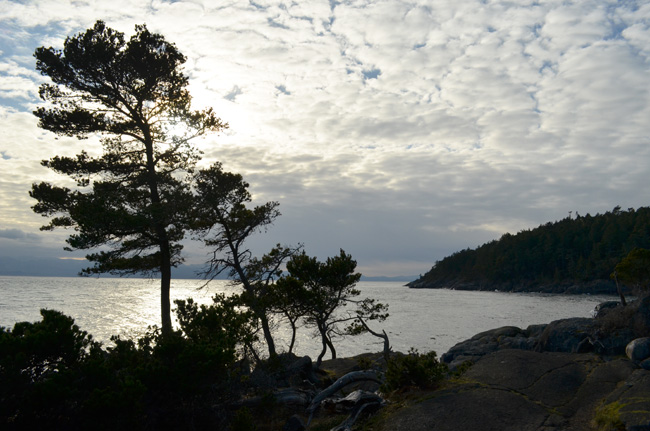 files/content/rdw/Logbook Photos/14-02-5_Sooke.jpg files/content/rdw/Logbook Photos/14-02-5_Sooke.jpg