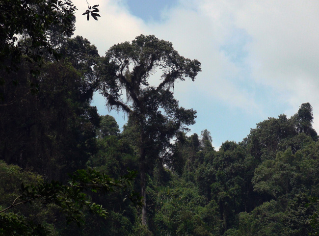 files/content/rdw/Logbook Photos/14-05-23Cloudy-K.jpg files/content/rdw/Logbook Photos/14-05-23Cloudy-K.jpg