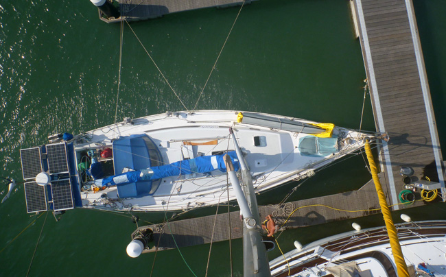 Corinthian im Wasser