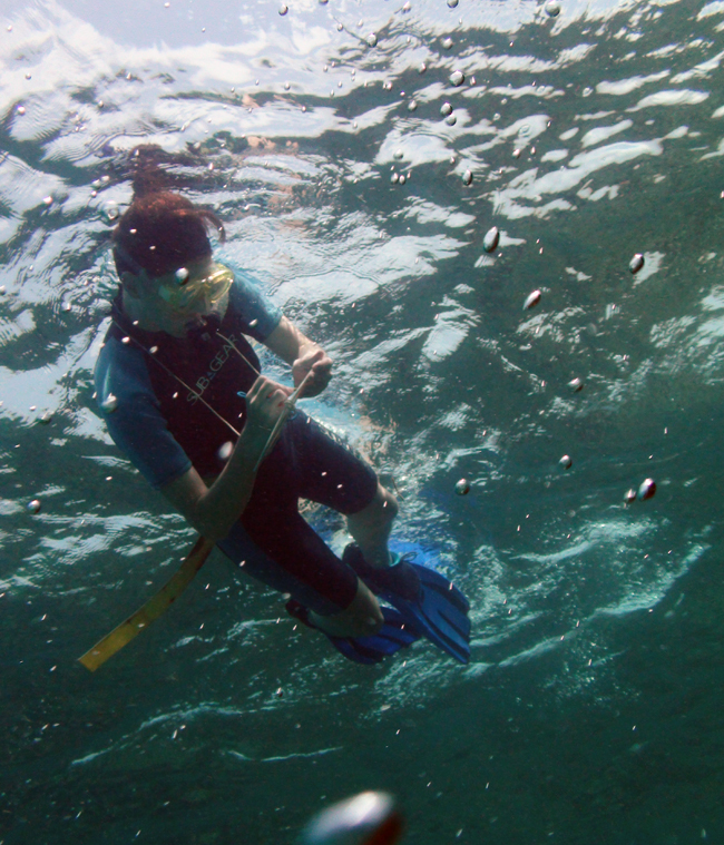 files/content/rdw/Logbook Photos/15-05-19_Laura.jpg files/content/rdw/Logbook Photos/15-05-19_Laura.jpg