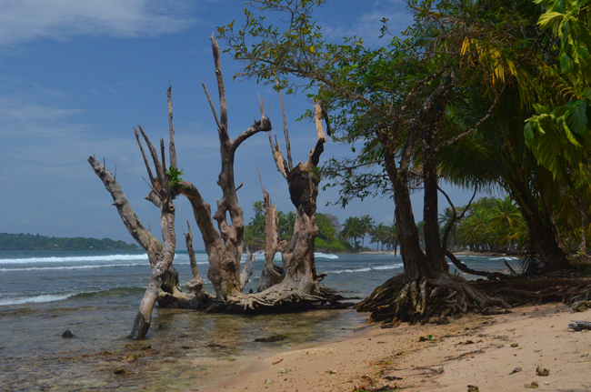 files/content/rdw/Logbook Photos/15-06-16_Carenerobeach.jpg files/content/rdw/Logbook Photos/15-06-16_Carenerobeach.jpg