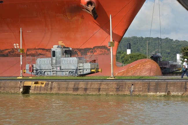 files/content/rdw/Logbook Photos/15-12-25Maultier.jpg files/content/rdw/Logbook Photos/15-12-25Maultier.jpg