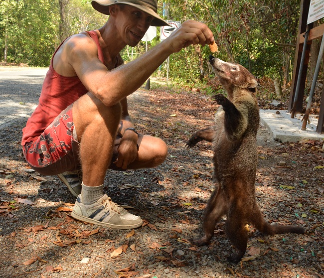 files/content/rdw/Logbook Photos/16-04-04Coati1.jpg files/content/rdw/Logbook Photos/16-04-04Coati1.jpg