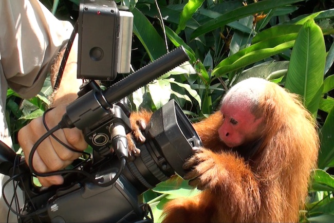 files/content/rdw/Logbook Photos/17-03-07Uasari-CamKlein.jpg files/content/rdw/Logbook Photos/17-03-07Uasari-CamKlein.jpg