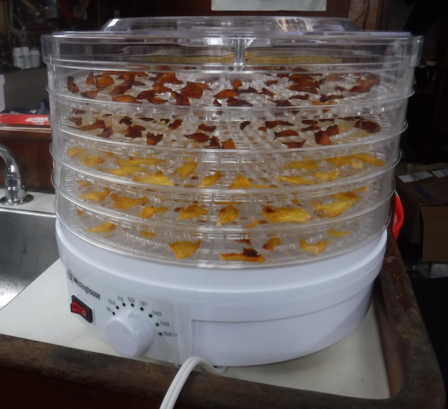 files/content/rdw/Logbook Photos/18-06-11-Dehydrator.jpg Dehydrator filled with dried mango and pineapple