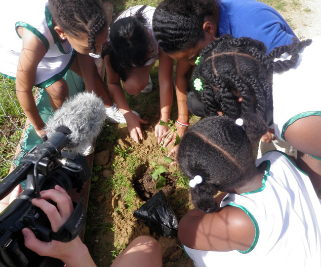 Planting at school