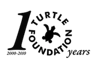 Logo Turtle Foundation Logo Turtle Foundation